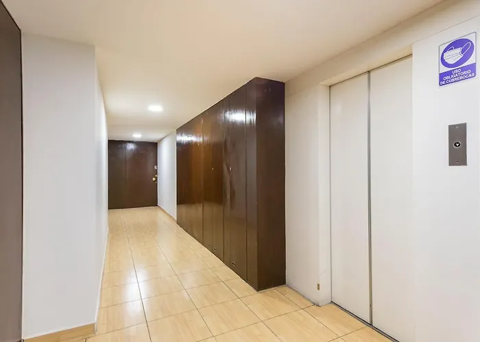 Hotel Lovely & Bright Wfh In Lively Area Long Mexico City